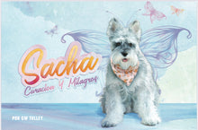 Load image into Gallery viewer, Book: Sacha Healings and Miracles (SPANISH Version)
